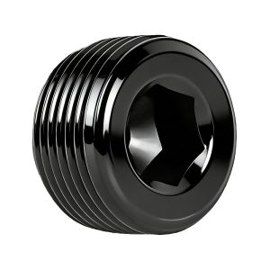 Hex Socket Pipe Plugs