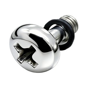 Pan Head Phillips Screw with Sealing Ring