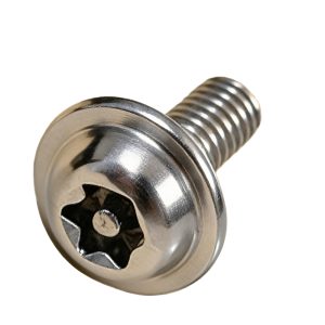 Pan Head Torx Socket Washer-attached Anti-theft Screw