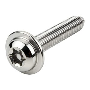 Pan Head Torx with Pin Long Screw