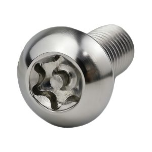 Torx Pan Head Internal Anti-theft Screw