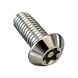 Torx Socket Anti-theft Screw
