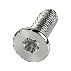 Torx Socket Flat Head Screw