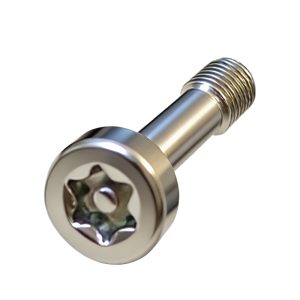 Socket Cup Head Torx with Pin Screw